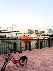 Thumbnail of a docomo bike share test generation.