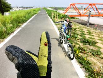 Thumbnail of 旅の途中に出会ったてんとう虫